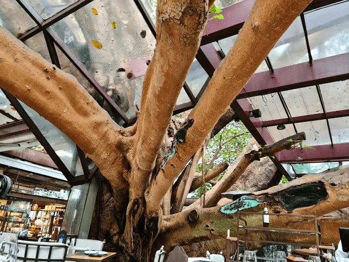 A Figueira Rubaiyat - Sala Madrid - Imagem 2