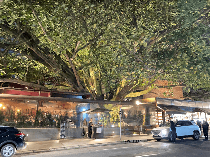 A Figueira Rubaiyat - Sala Madrid - Imagem 3